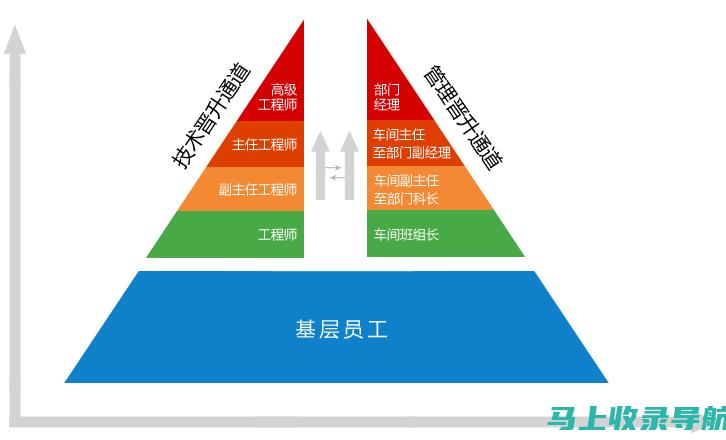 站长职级晋升路径及必备技能解析